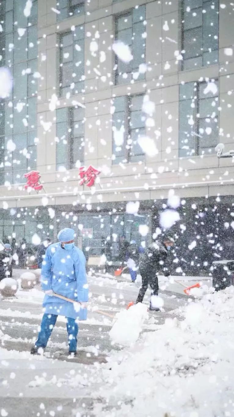 春雪初霁,春雪初霁杏花正芳月上夜吟