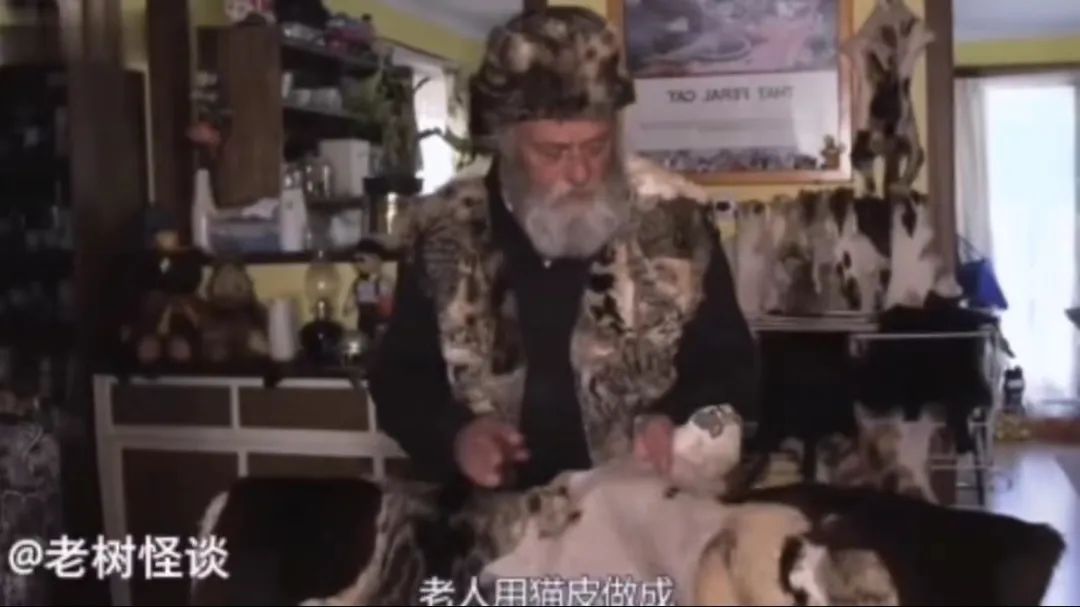 无良商家为了赚钱，竟剥猫皮做毛皮大衣…