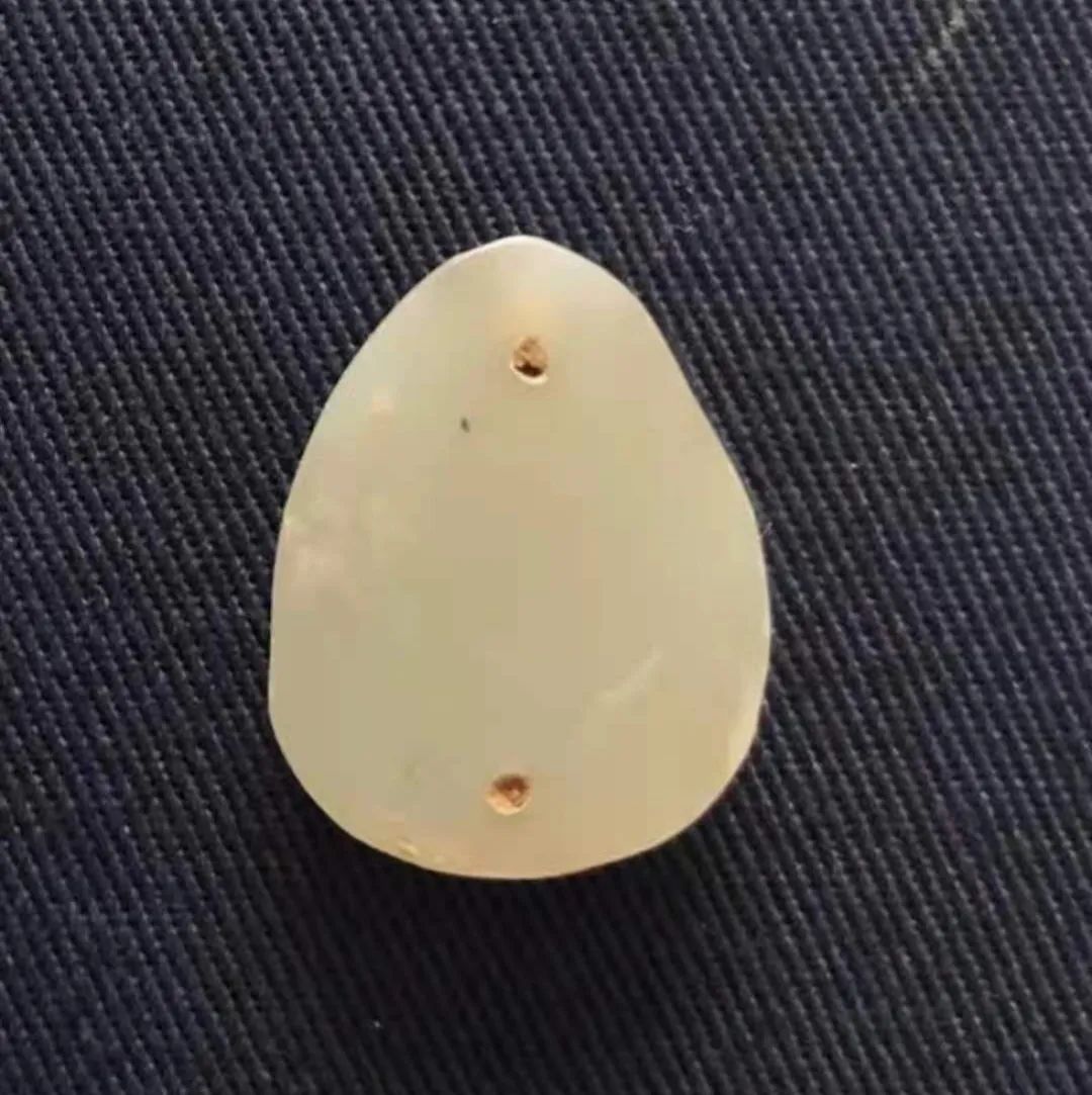 天然贝币真品价格,原始贝币发展史