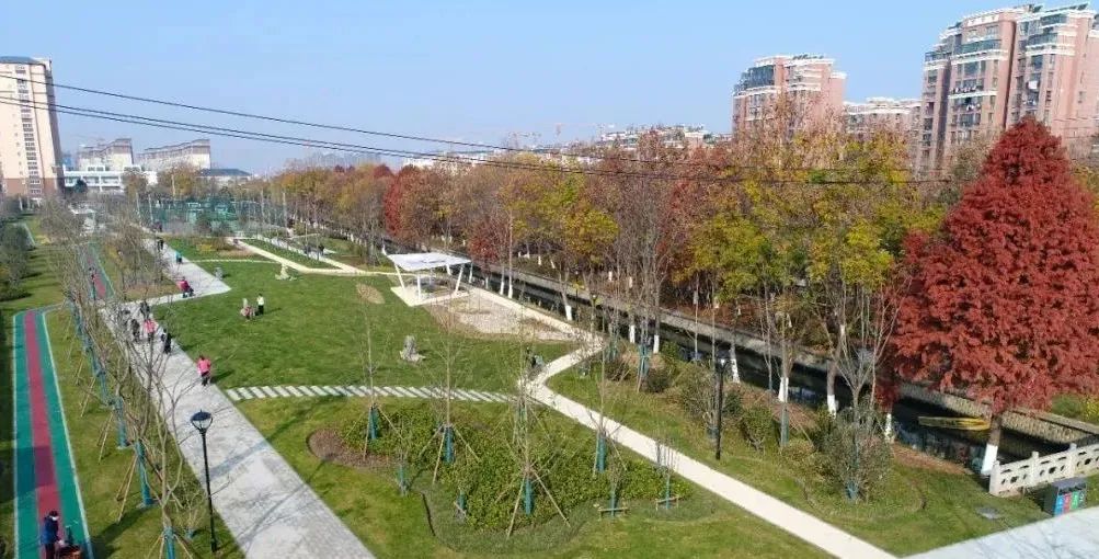 多图！*合六**再增一处口袋公园，就在…