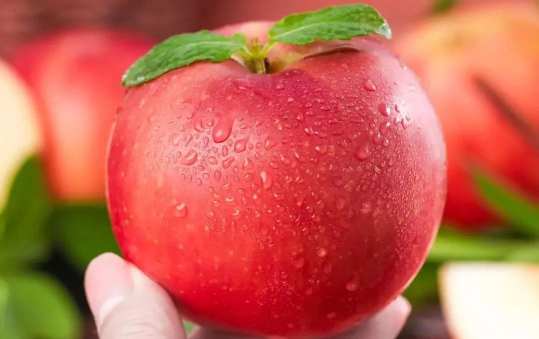 全国公认最好吃的苹果,什么苹果甜口感好吃又营养