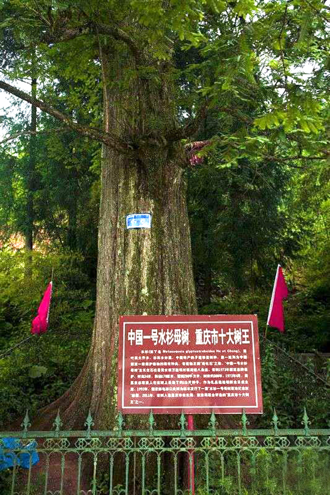 天上黄水,天上黄水美景