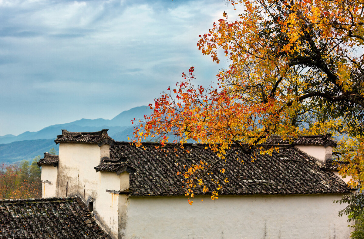 全民k歌在哪测音色,全民k歌音频怎么调音色