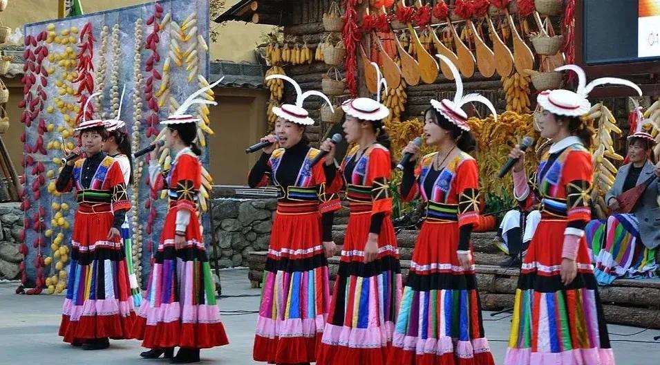 白马人的服饰,白马人服饰