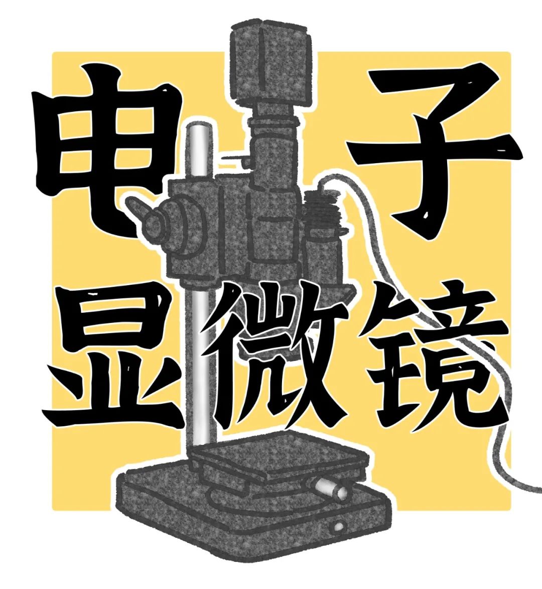 养猫忠告尽量少买华而不实的东西,养猫容易被忽悠买的东西