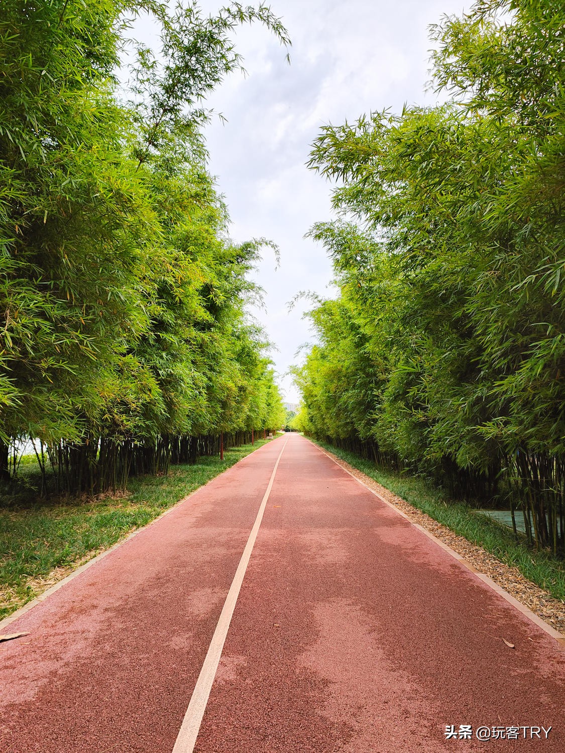 闲鱼捷安特假货多不,闲鱼卖的捷安特atx660假的吗