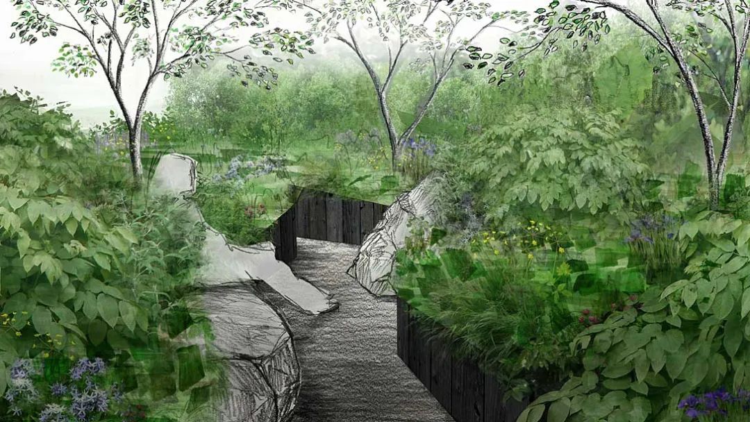 切尔西花展凯特花园,切尔西花展最佳花园