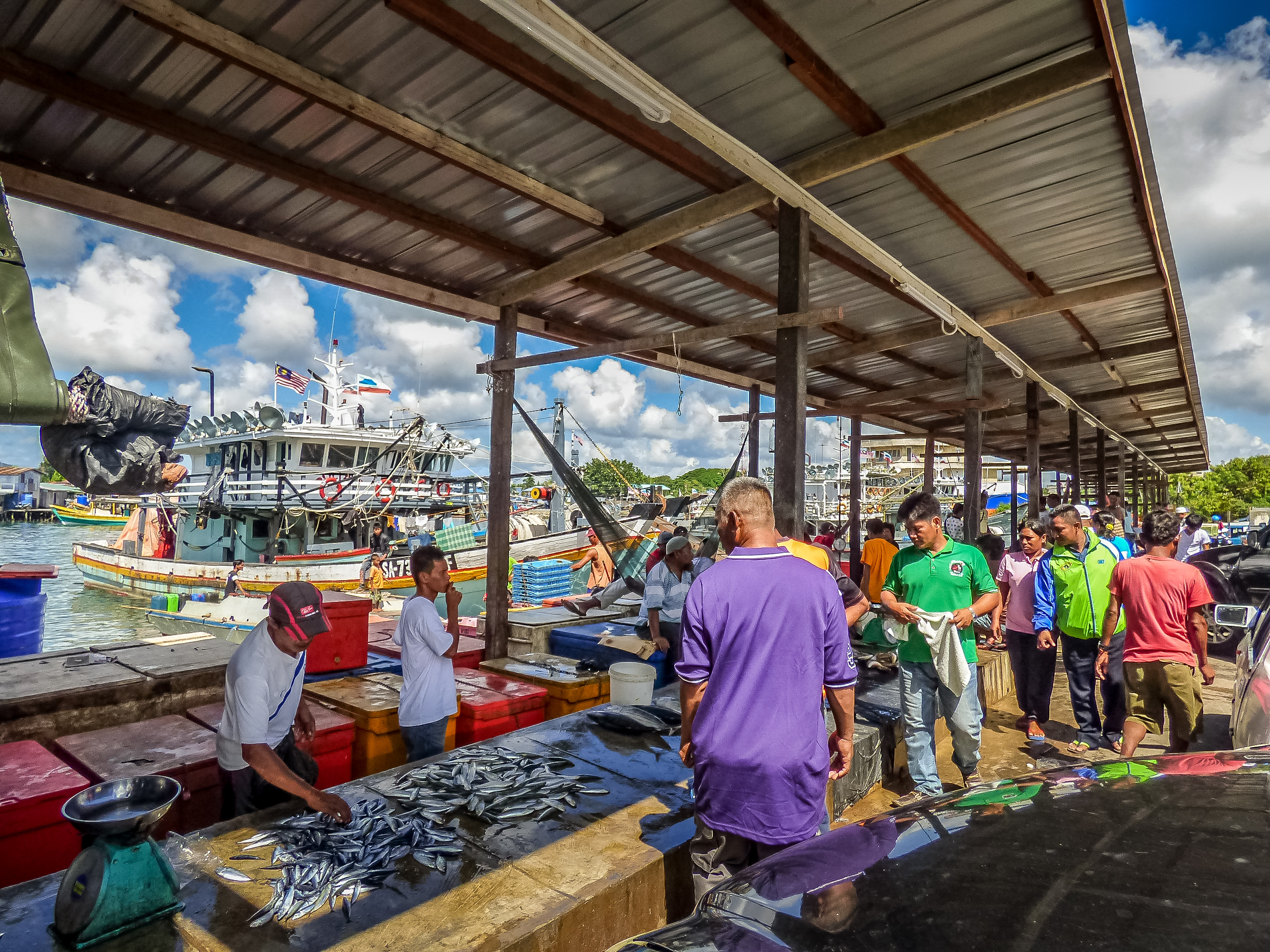 马来西亚仙本那海底,潜水马来西亚仙本那