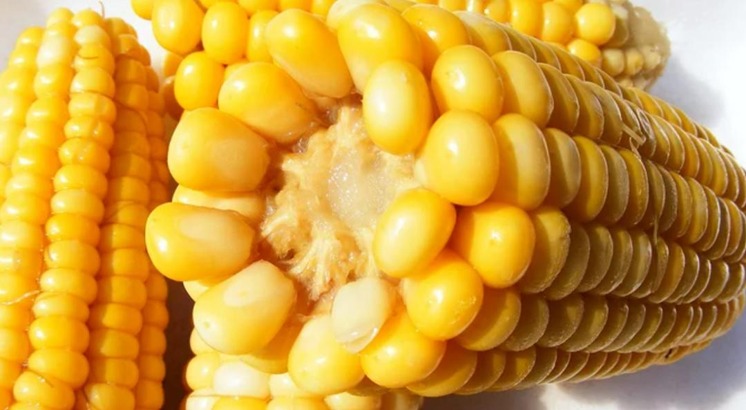 甜糯玉米到底哪款好吃,甜玉米和糯玉米哪个营养价值高