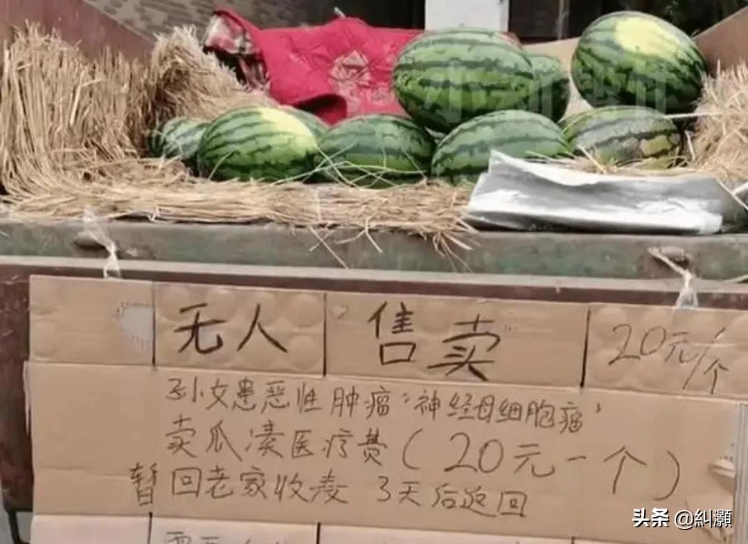 无人西瓜摊5天获捐10万怎么捐款,无人西瓜摊5天获挖掘机捐10万