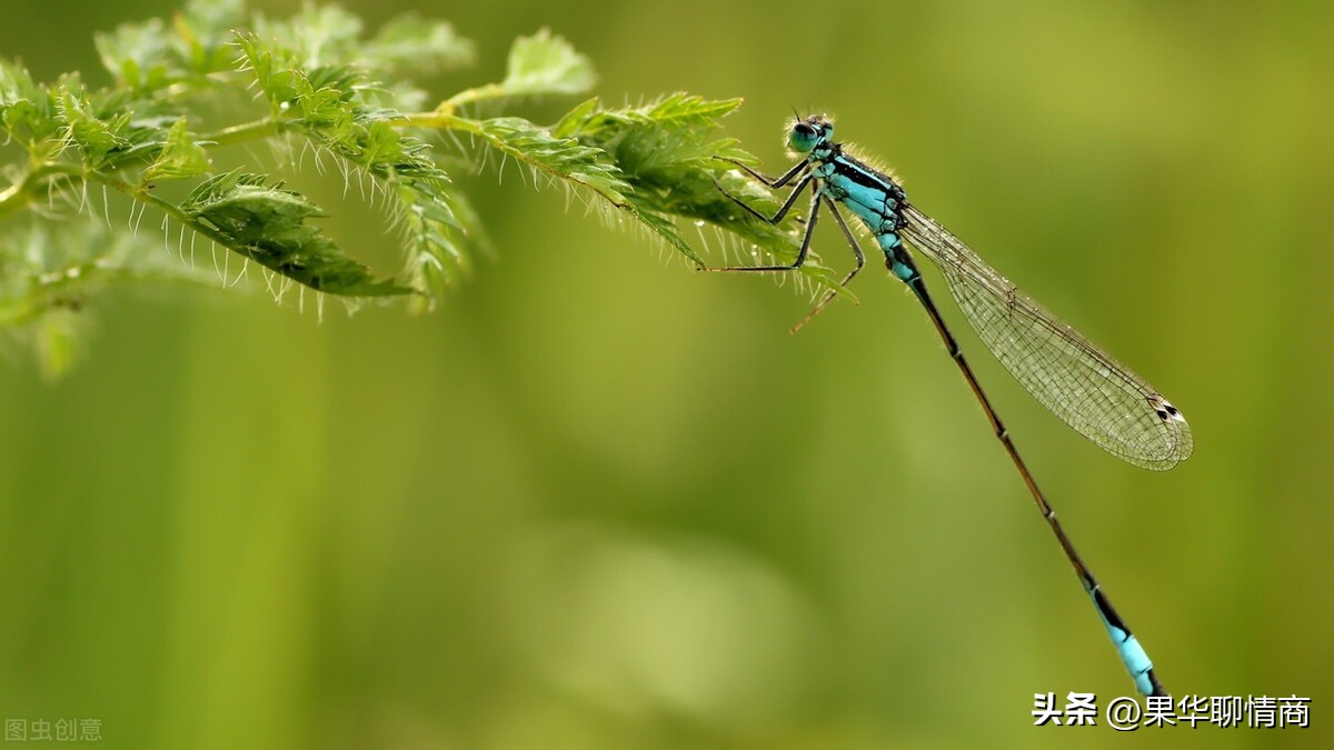 用一个心理问题判断对方爱你么,怎么从细节里看出对方是否爱你