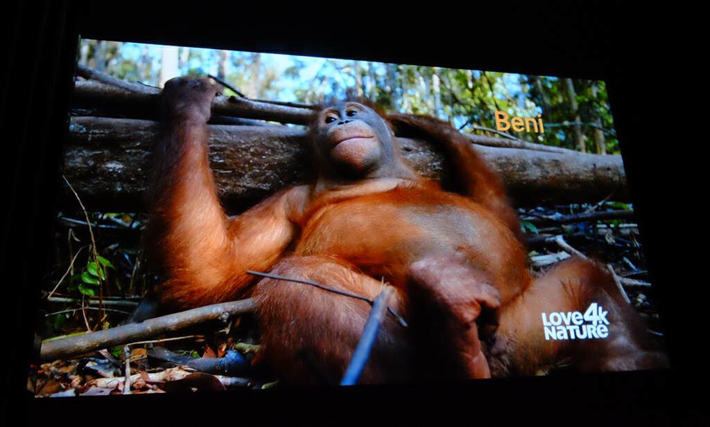 极米投影新品效果,极米中高端投影什么时候上新