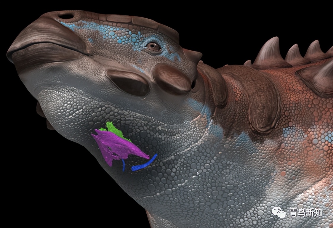 恐龙主题的铠甲可穿戴,恐龙战士怎么变身
