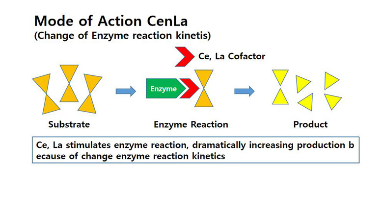 南美白对虾红体病预防,南美白对虾绿肝原因