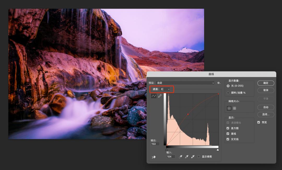 40种专业摄影后期调色效果ps动作,ps花卉后期调色教程