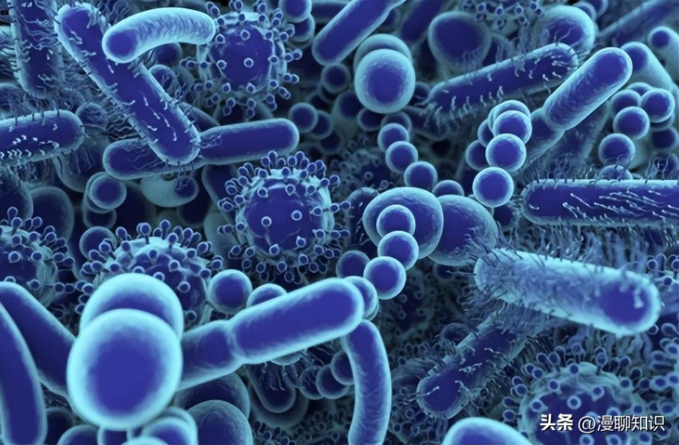 马传染病的传播,马传染性子宫炎