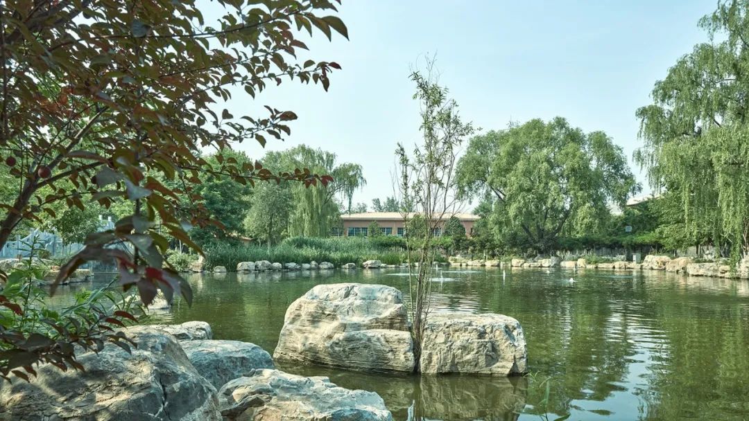 北京服装艺术学院考研招生简章,京美考研