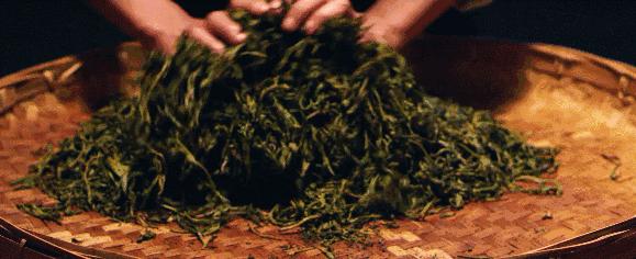 茶文化申遗成功了吗,中国茶申遗成功对我们的好处