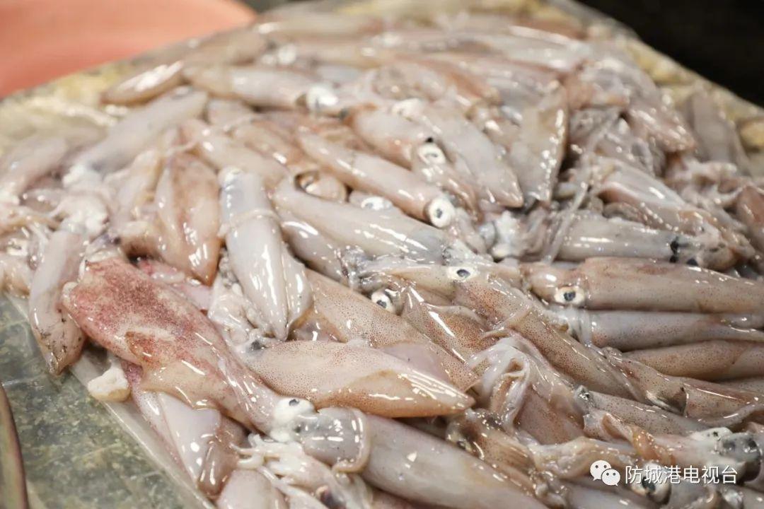 开海了一大波肥美海鲜上岸,开海去哪买海鲜