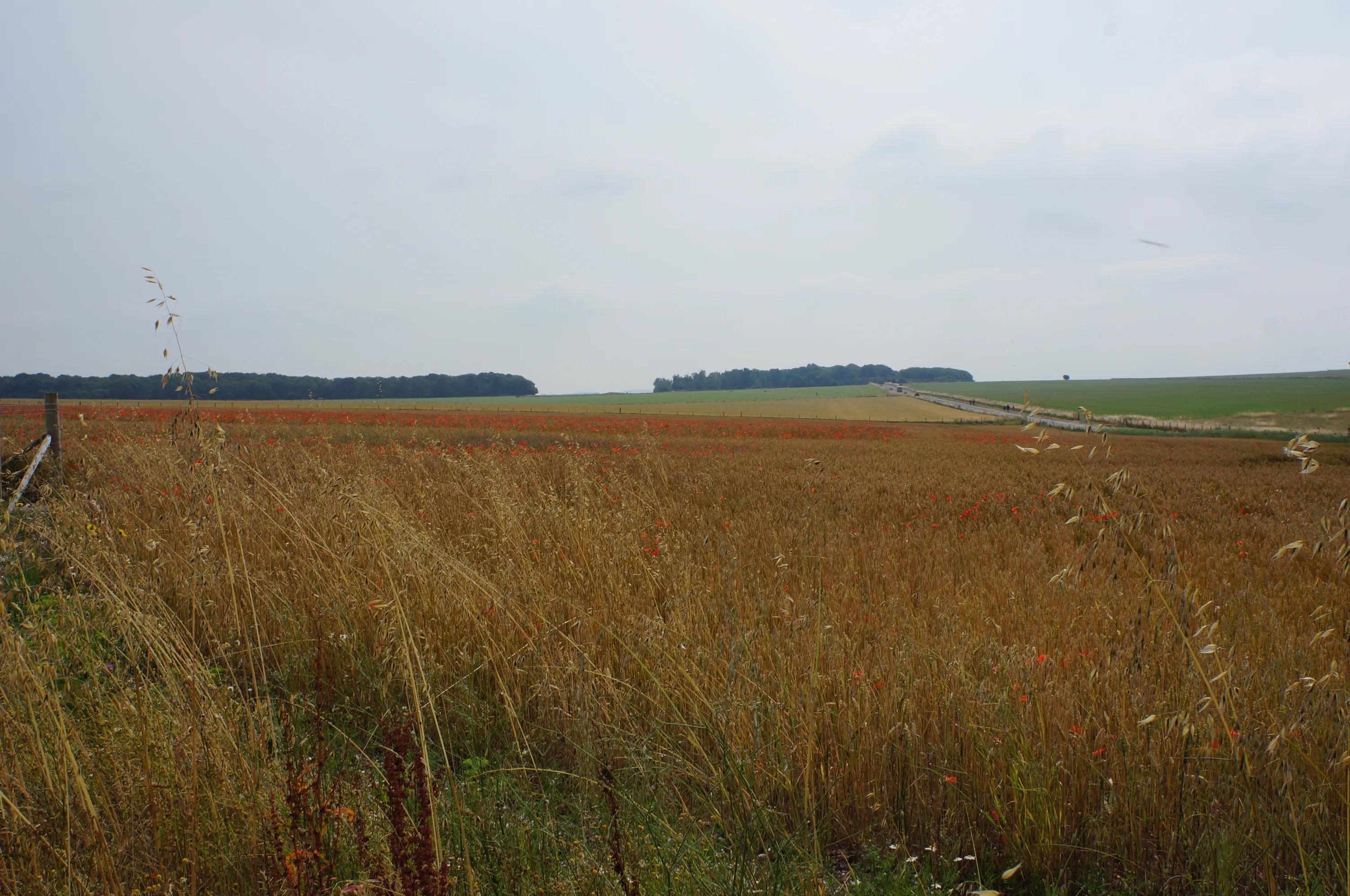 英国之旅完整版,英国巴斯旅游全攻略