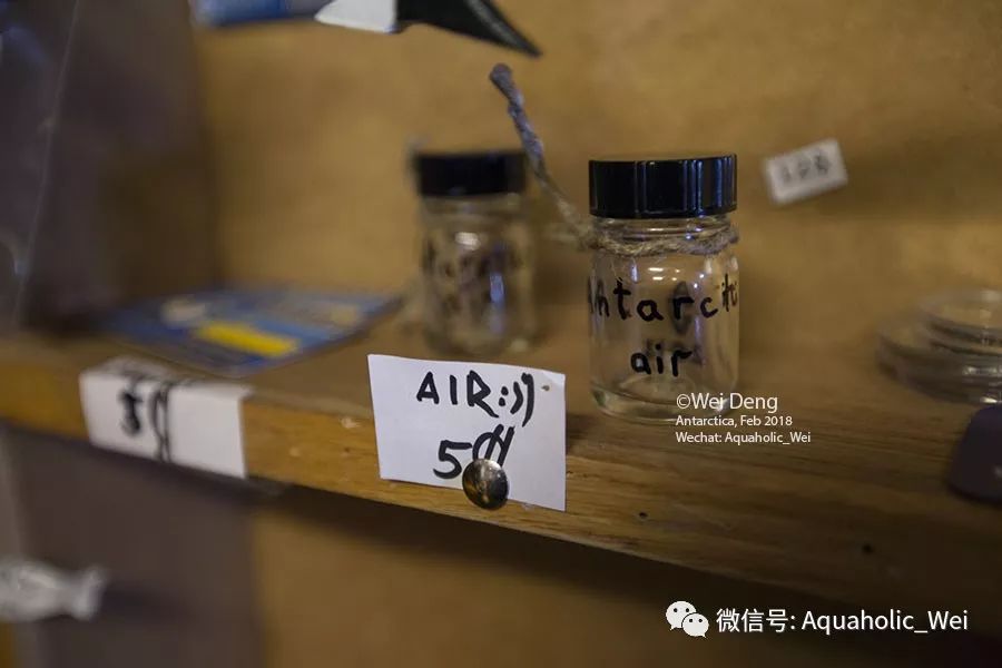 我在南极养企鹅,我在南极的日子