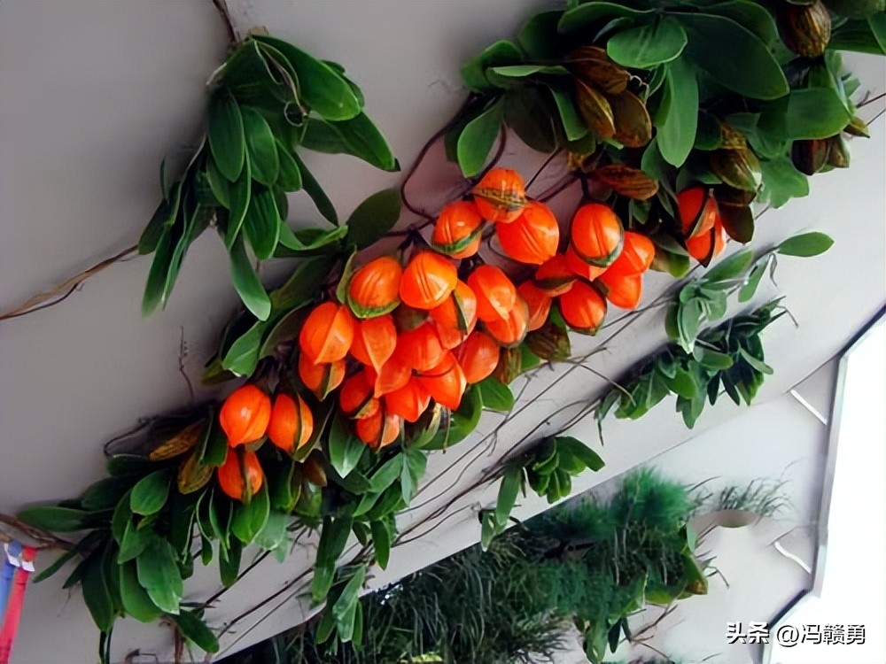 上海世博园一日游最佳攻略,上海世博园游览攻略一日游作文