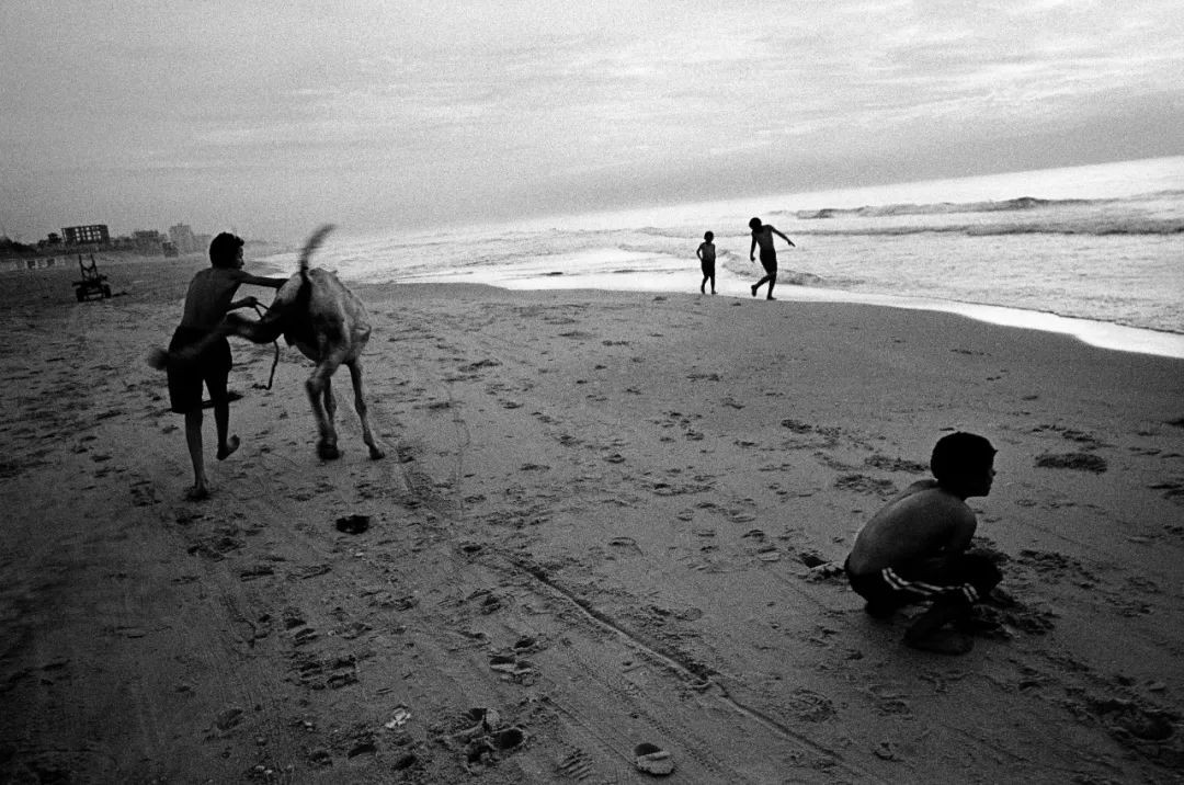 高磊：心灵的捕手