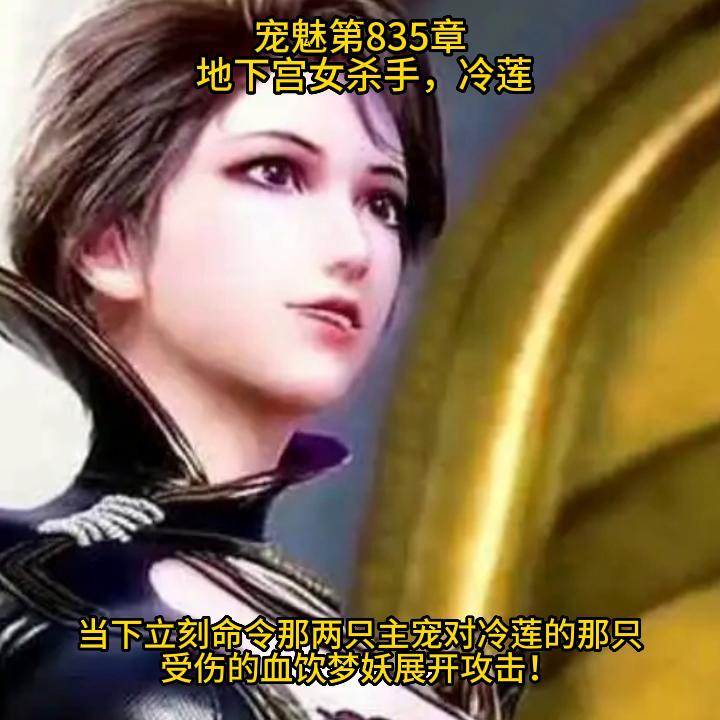 宠魅宠魅这本小说的介绍,小说宠魅