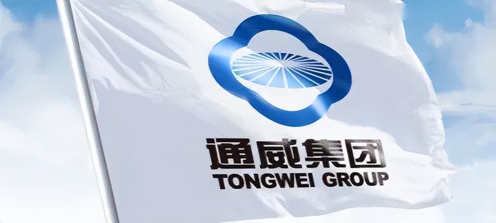 通威董事长刘汉元起家做什么,四川首富通威集团刘汉元谈创新