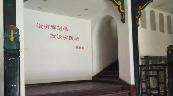 煮人骨，剔腐肉，一年处理50具遗体，直面死亡的人体标本制作师