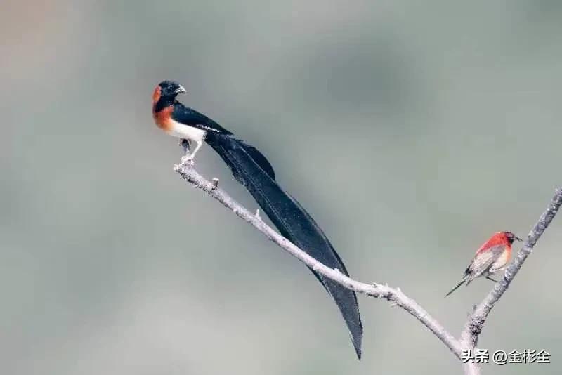 女朋友让交工资卡怎么回复,女朋友要求你上交工资是什么心理