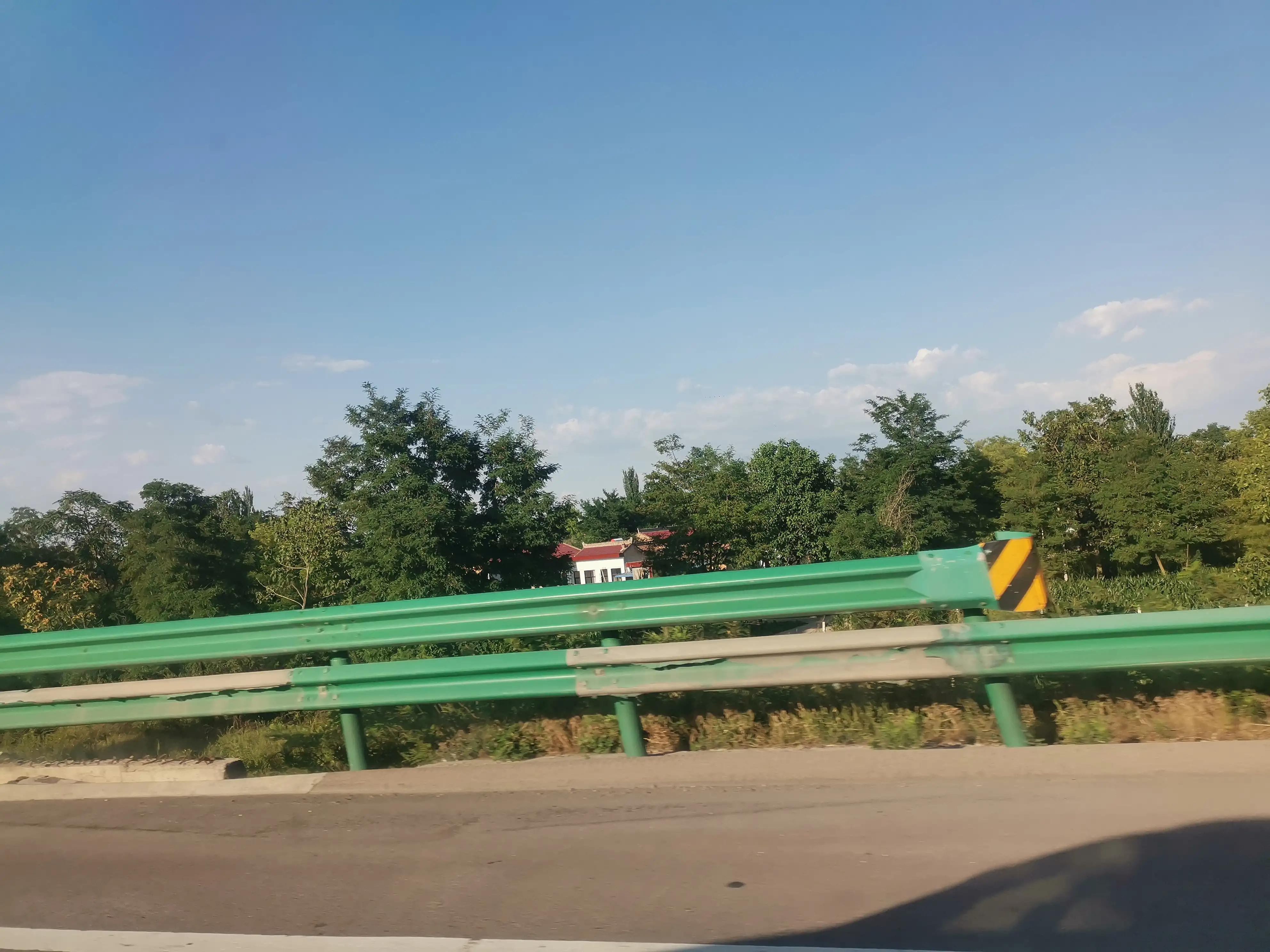 树，我心中的陕西