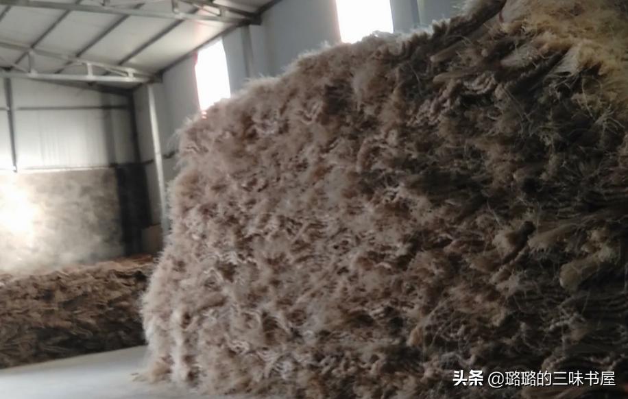 那些黑心的商家,黑心商家昧着良心赚钱