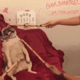 如何评价这个女主持人，主持了一半把*袜丝**脱了？