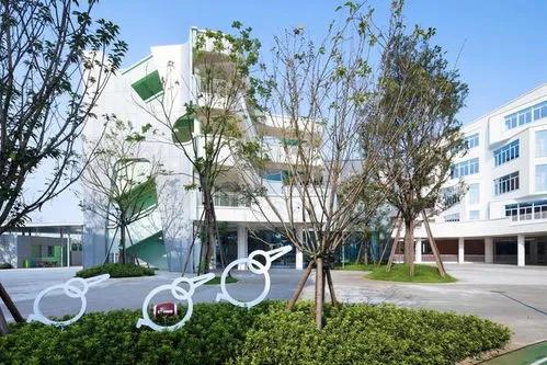 天府新区公立小学入学条件,天府新区元音小学是私立还是公立