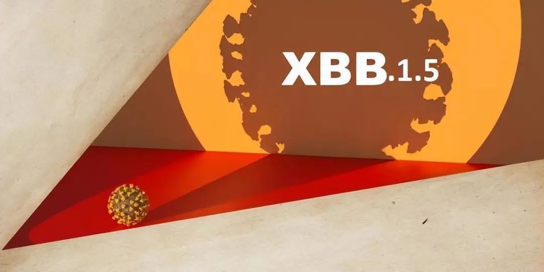 XBB.1.5，XBB.1.9.1，还是XBB.1.16，谁将成我国二波流行的推手？