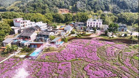 肇庆天气预报7天,肇庆未来7天天气