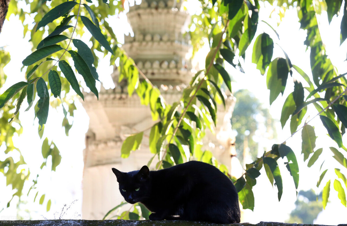 沙敦府开光的泰国圣物,加持很久的泰国圣物