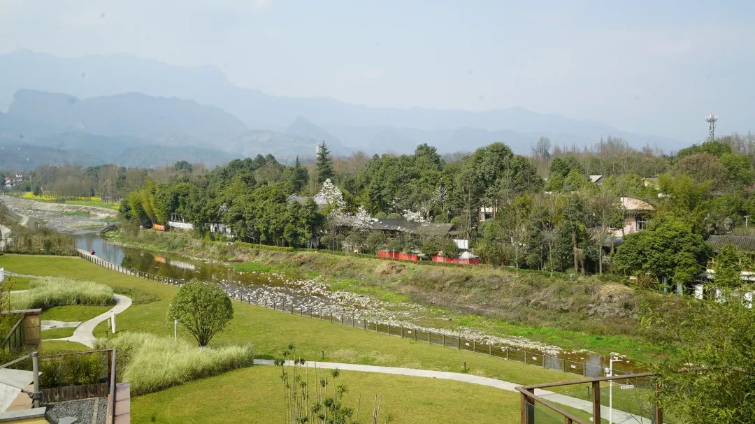 又见花开都江堰完整版,又见花开都江堰