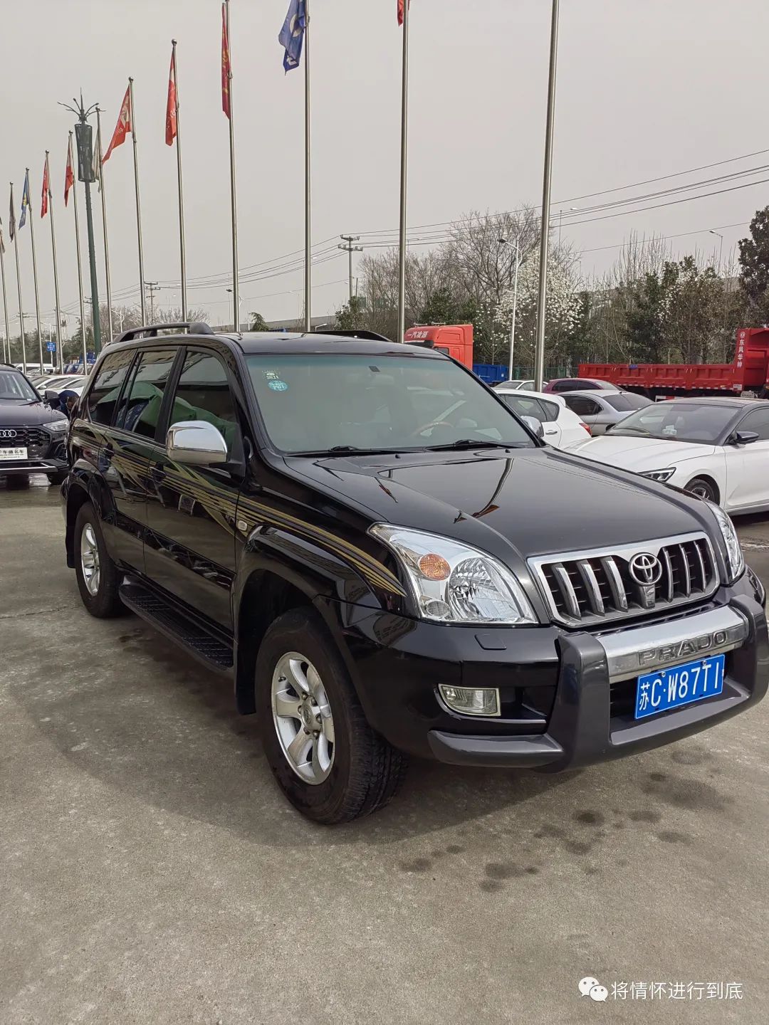 力拔山兮气盖世的视频,普拉多科威特版lc120