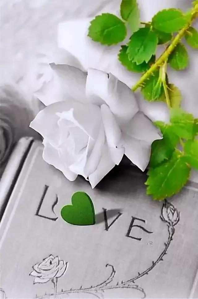 手拿心形图片,心形图片大全