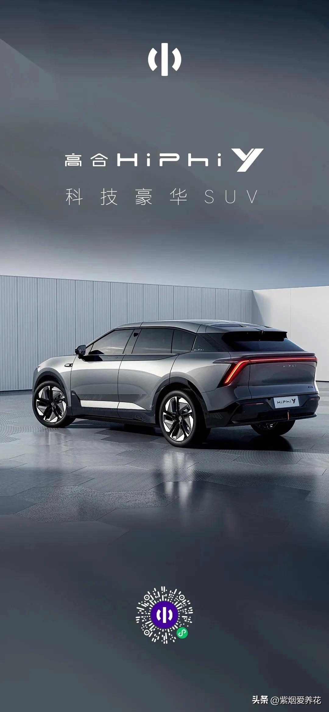 我不禁问自己,靠卖花能攒够钱买高合HiPhiY吗?