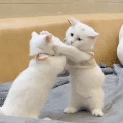 如何避免wifi被蹭网留下的风险,wifi被蹭网会不会影响速度