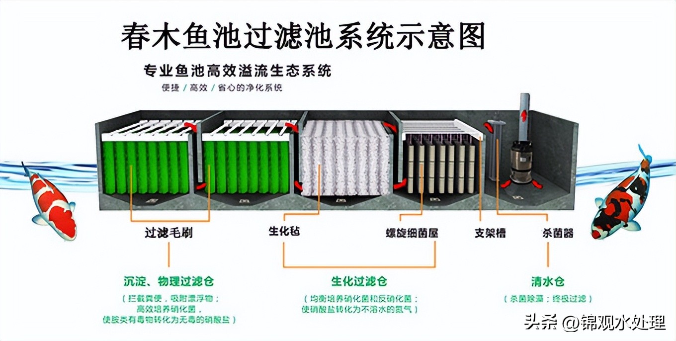鱼池过滤毛刷安装方法,最简单高效的鱼池过滤系统设计图