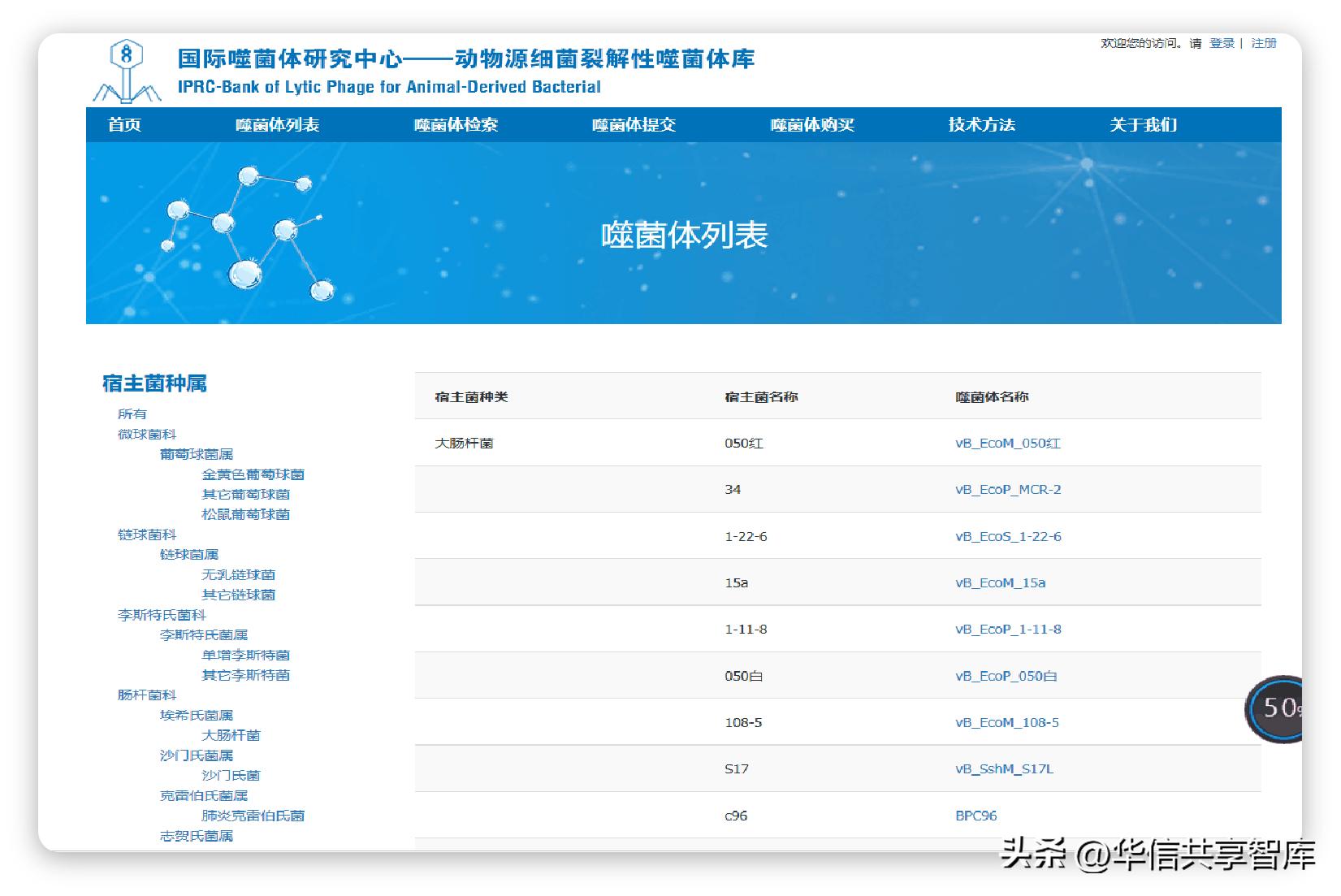 【听课笔记】王冉研究员：噬菌体的研究现状及应用前景