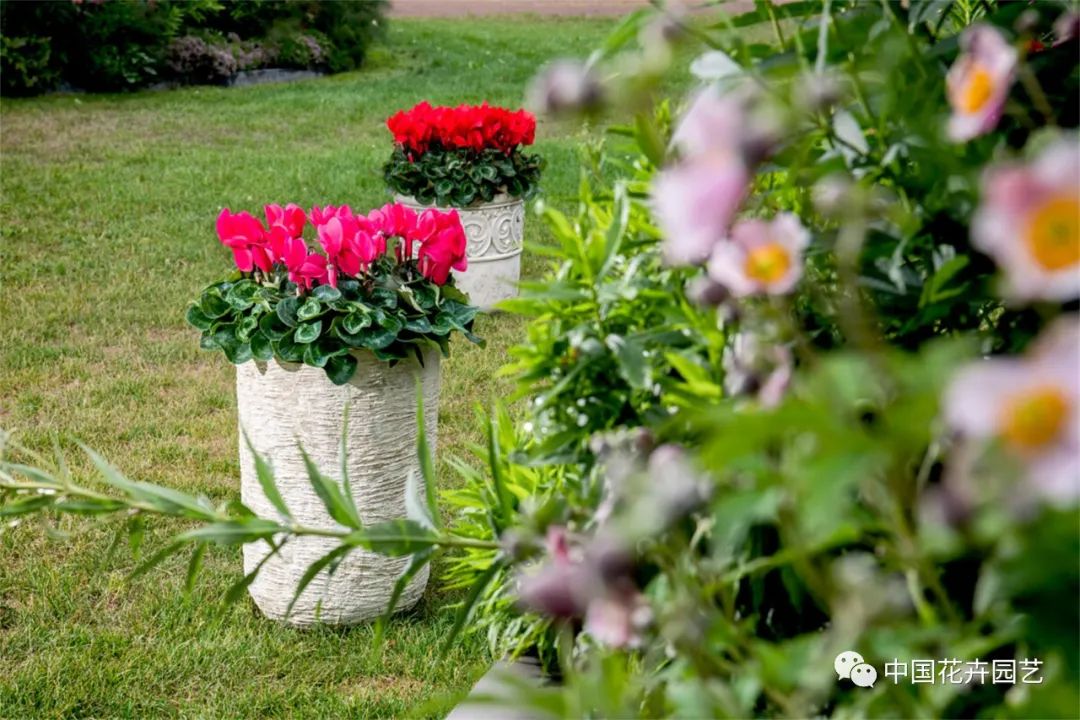 鑺卞崏鍝佺灞曠ず,鏂颁紭鑺卞崏鍝佺灞曠ず