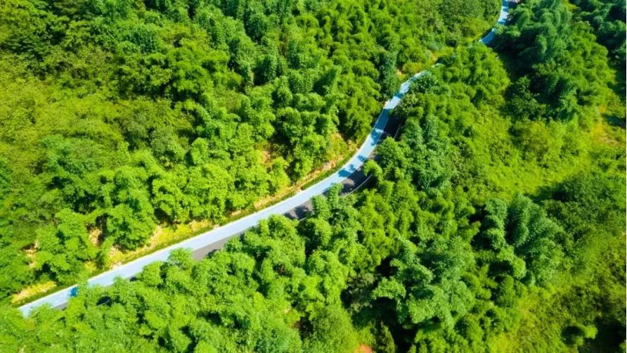 重庆悦来打卡,重庆悦来网红打卡地