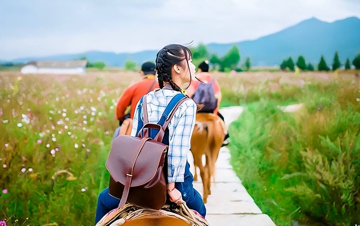 云南旅游攻略6天5晚大概费用多少,云南旅游攻略7天6晚多少钱