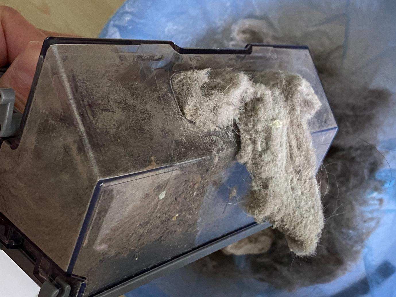 推进电器焕新,焕新电器焕新生活