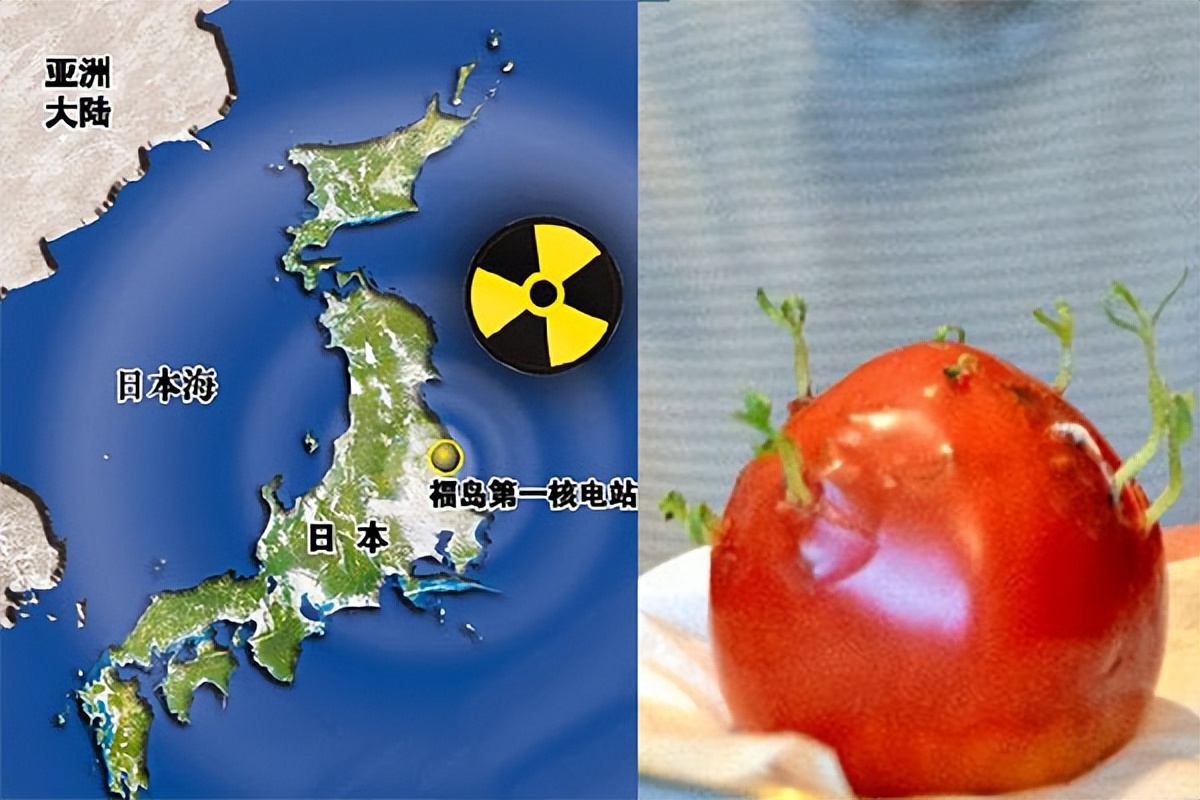 日本食品安全问题与核辐射,日本京都的食品有核辐射吗